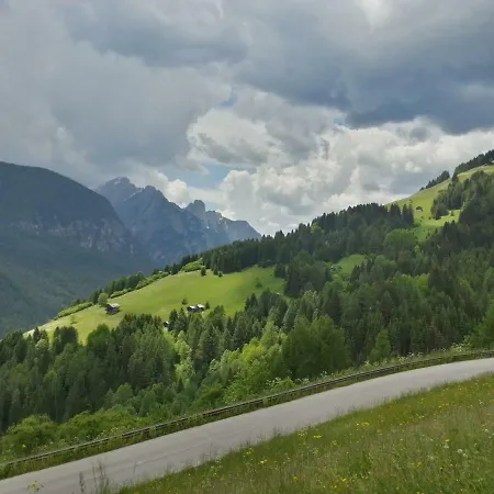 Diffuso Costauta Costalta