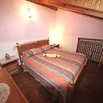 Diffuso Costauta 3*