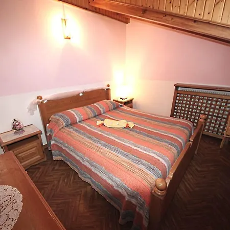 Diffuso Costauta 3*