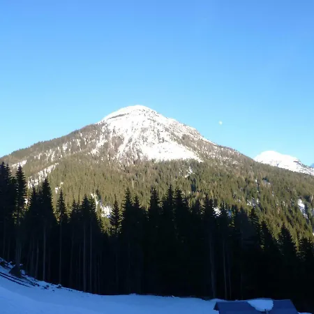 Diffuso Costauta Costalta